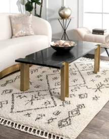 Off White Temara Abstract Tasseled rug - Shags Rectangle 9' 2in x 12'