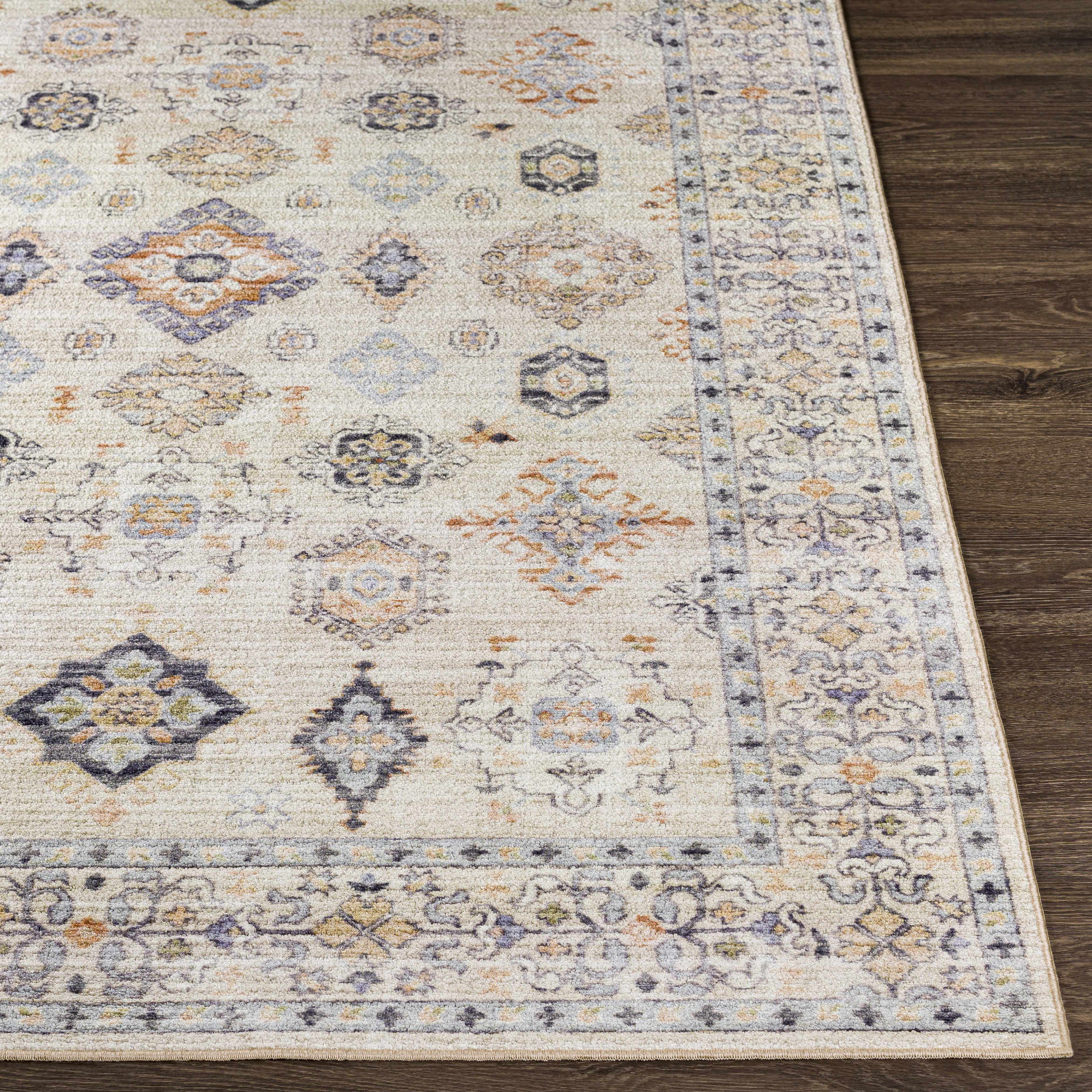 Camlachie 2'7in x 4' Traditional Updated Traditional Washable Area Rug - Hauteloom