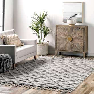 Gray Waffell Diamond Textured Trellis Tassel rug