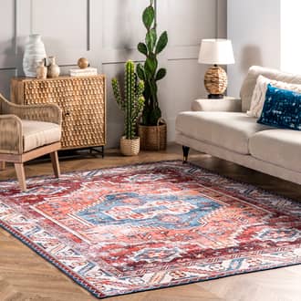 Rust Rain Haven Oriental Medallion Washable rug