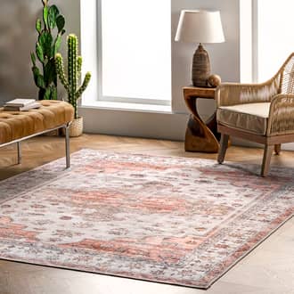 Beige Rain Haven Francis Cartouche Medallion Washable rug