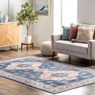 Blue Rain Haven Eboni Traditional Washable rug