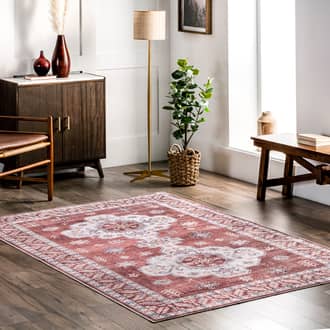 Rust Rain Haven Eboni Traditional Washable rug