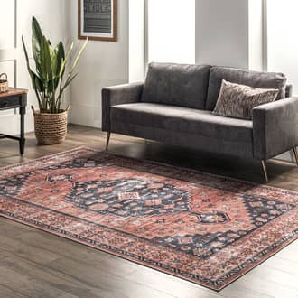 Rust Rain Haven Daisy Washable Persian rug