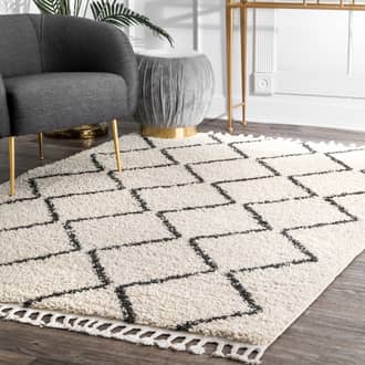 Off White Temara Simple Trellis With Braided Tassels rug