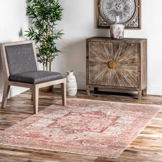 Red Edessa Fringed Medallion rug