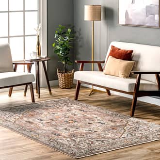 Light Brown Edessa Fringed Medallion rug