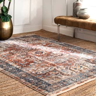 Rust Edessa Timeworn Charm rug