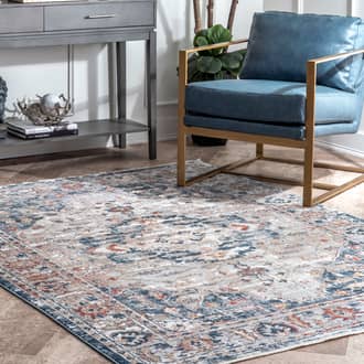 Gray Princesa Winged Cartouche rug