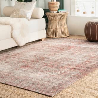 Multi Mysteria Vintage Medallion Washable rug